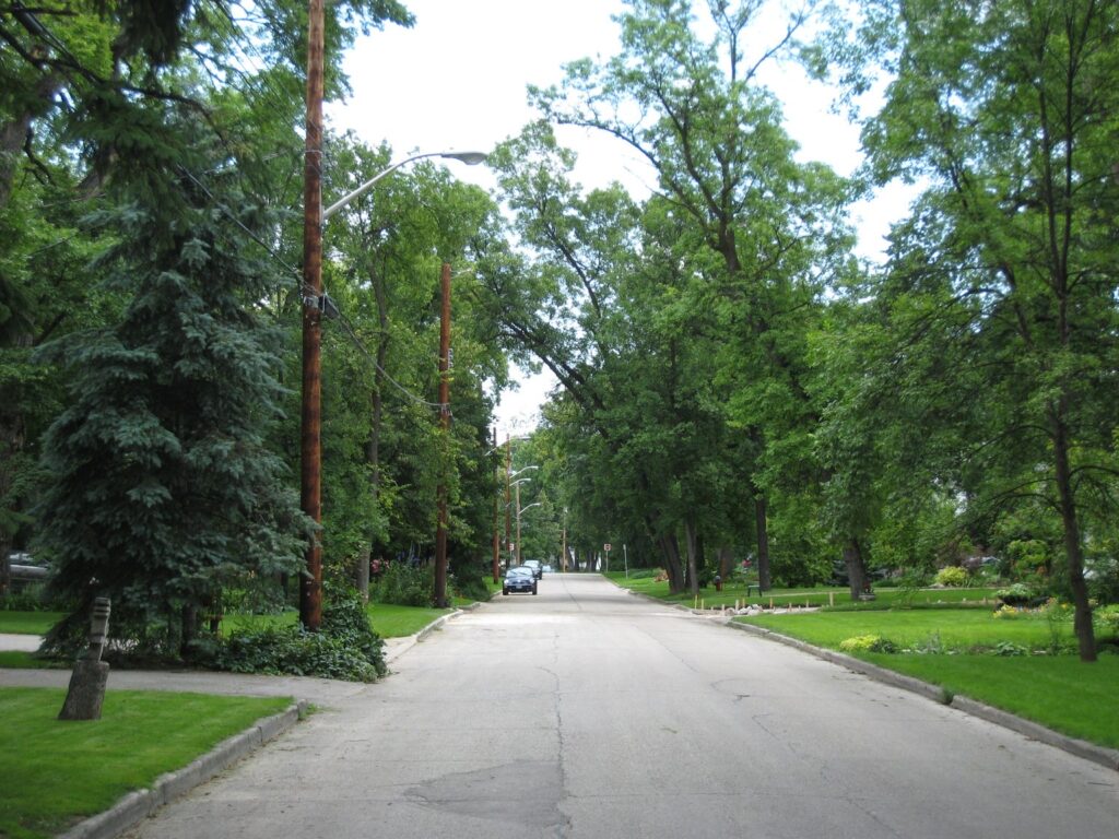 Tree-lined Kingston Crescent in St. Vital, Winnipeg, a residential street inside a bend of the Red River
